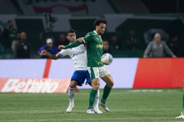Sao Paulo (SP), 07 / 20 / 2024 - Brezilya Şampiyonası 'nın 18. turu için geçerli olan Palmeiras ve Cruzeiro maçı, 20 Temmuz 2024 Cumartesi gecesi, Sao Paulo-SP' deki Allianz Parque 'da. 