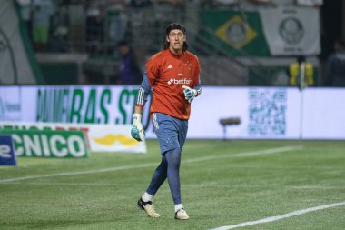 Sao Paulo (SP), 07 / 20 / 2024 - BRASILEIRO / PALMEIRAS vS CRUZEIRO - Cassio, Brezilya Şampiyonası 'nın 18. turu için geçerli olan Palmeiras ve Cruzeiro arasındaki maçta, 20 Temmuz 2024 gecesi Allianz Parque' da.