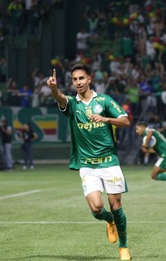 Sao Paulo (SP), Brezilya 08 / 07 / 2024 - Palmeiras ve Flamengo arasındaki maç, bu Çarşamba akşamı Allianz Parque 'da oynanan 2024 Brezilya Kupası' nın ikinci turu için geçerli.