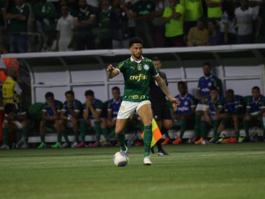 Sao Paulo (SP), Brezilya 08 / 07 / 2024 - Palmeiras ve Flamengo arasındaki maç, bu Çarşamba akşamı Allianz Parque 'da oynanan 2024 Brezilya Kupası' nın ikinci turu için geçerli.