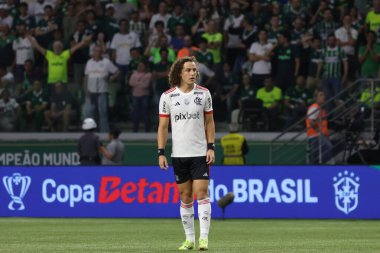 Sao Paulo (SP), Brezilya 08 / 07 / 2024 - Palmeiras ve Flamengo arasındaki maç, bu Çarşamba akşamı Allianz Parque 'da oynanan 2024 Brezilya Kupası' nın ikinci turu için geçerli.