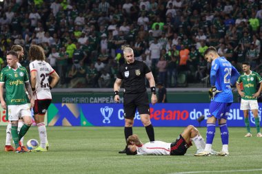 Sao Paulo (SP), Brezilya 08 / 07 / 2024 - Palmeiras ve Flamengo arasındaki maç, bu Çarşamba akşamı Allianz Parque 'da oynanan 2024 Brezilya Kupası' nın ikinci turu için geçerli.