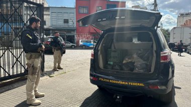 SAO PAULO (SP), Brezilya 08 / 07 / 2024 Devlet Hükümeti ve Kamu Bakanlığı işbirliğiyle 1200 polis memuru ve Cracolandia 'daki organize suçla mücadele için 200 arama emri çıkarıldı