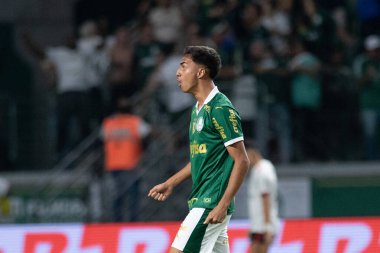 Sao Paulo (SP), Brezilya 07 / 08 / 2024 - Oyuncu Vitor Reis, Copa do Brasil 2024 'ün ikinci ayağı için geçerli olan Palmeiras ve Flamengo arasındaki maçta golünü kutluyor