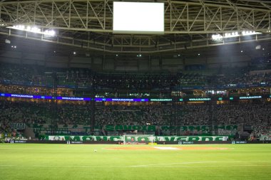 Sao Paulo (SP), Brezilya 07 / 08 / 2024 - Palmeiras ve Flamengo arasında oynanan karşılaşmada Palmeiras taraftarları, Copa do Brasil 2024 turunun ikinci ayağı için geçerli