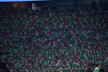 Sao Paulo (SP), Brezilya 07 / 08 / 2024 - Palmeiras ve Flamengo arasında oynanan karşılaşmada Palmeiras taraftarları, Copa do Brasil 2024 turunun ikinci ayağı için geçerli