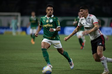 Sao Paulo (SP), Brezilya 08 / 07 / 2024 - Palmeiras ve Flamengo arasındaki maç, bu Çarşamba akşamı Allianz Parque 'da oynanan 2024 Brezilya Kupası' nın ikinci turu için geçerli.