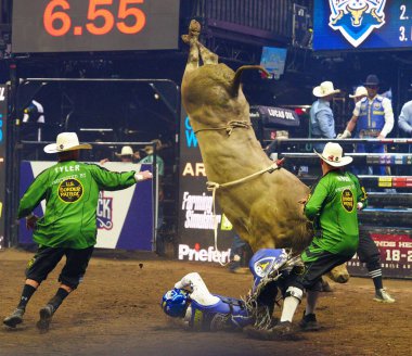 PBR (Profesyonel Boğa Binicileri) Kampçı Dünya Takım Serisi, Brooklyn, New York. 09 Ağustos 2024, Barclay Center, Brooklyn, New York, ABD: Nashville Mühürlü Cody İsa