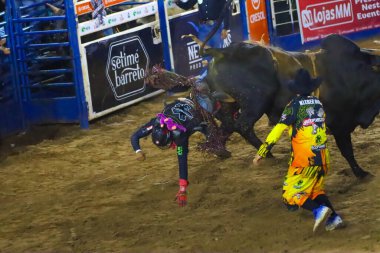 SANTO ANTONIO DA PLATINA (PR) Brazil 08/16/2024 - Bullfighting Rodeo at the Efapi arena in its 52nd edition, with the presence of the Queen, Princess and other female representatives. clipart