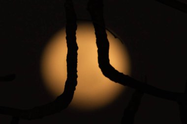 Rio de Janeiro, (RJ), Brezilya 08 / 18 / 2024 - 2024 'ün ilk Süper Ay' ı 'Sturgeon Moon' fenomeniyle çakışacak ve bize 'Süper Mavi Ay' ın değerini anlamamızı sağlayacak.. 