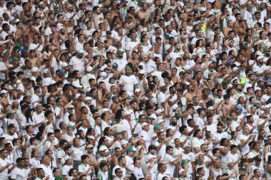 Sao Paulo (SP), 08/18/2024 - Fans, during the match between Palmeiras and Sao Paulo, valid for the 23rd round of the Brazilian Championship, on the afternoon of this Sunday, August 18, 2024, at Allianz Parque clipart