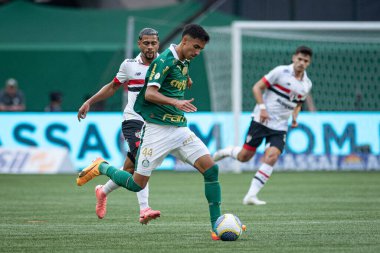 Sao Paulo (SP), Brezilya 08 / 18 / 2024 - Brezilya Şampiyonası 'nın 23. turu için geçerli olan Palmeiras ile Sao Paulo arasındaki maç, 18 Ağustos 2024 Pazar günü, Sao Paulo-SP' deki Allianz Parque 'da. 