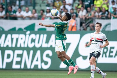 Sao Paulo (SP), Brezilya 08 / 18 / 2024 - Brezilya Şampiyonası 'nın 23. turu için geçerli olan Palmeiras ile Sao Paulo arasındaki maç, 18 Ağustos 2024 Pazar günü, Sao Paulo-SP' deki Allianz Parque 'da. 