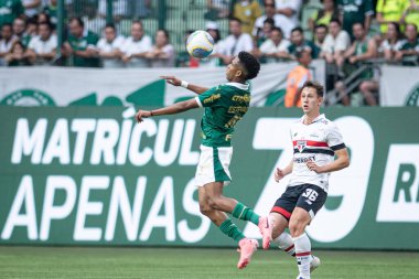 Sao Paulo (SP), Brezilya 08 / 18 / 2024 - Brezilya Şampiyonası 'nın 23. turu için geçerli olan Palmeiras ile Sao Paulo arasındaki maç, 18 Ağustos 2024 Pazar günü, Sao Paulo-SP' deki Allianz Parque 'da. 
