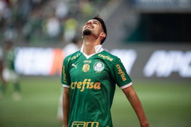 Sao Paulo (SP), Brezilya 08 / 18 / 2024 - Flaco Lopez, Brezilya Şampiyonası 'nın 23. turunda geçerli olan Palmeiras ve Sao Paulo arasındaki maçta ilk golünü kutladı