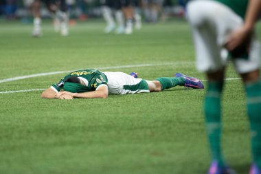 Sao Paulo (SP), Brezilya 08 / 21 / 2024 - Palmeiras oyuncuları Palmeiras ve Botafogo arasındaki maçın ardından ağıt yaktı, Copa Conmebol Libertadores 'in 16.