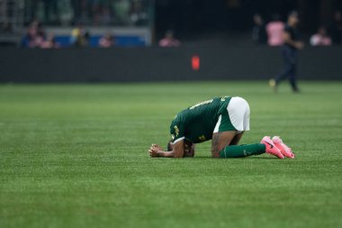 Sao Paulo (SP), Brezilya 08 / 21 / 2024 - Palmeiras oyuncuları Palmeiras ve Botafogo arasındaki maçın ardından ağıt yaktı, Copa Conmebol Libertadores 'in 16.