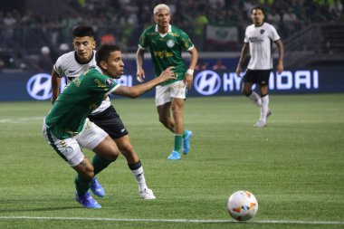 Sao Paulo (SP), Brazil 08/21/2024 - Shot, during the match between Palmeiras and Botafogo, valid for the second leg of the round of 16 of the Copa Conmebol Libertadores clipart