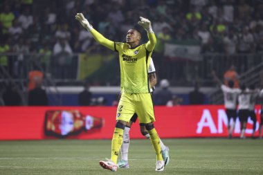 Sao Paulo (SP), Brezilya 08 / 21 / 2024 - Botafogo oyuncusu Igor Jesus, Palmeiras ve Botafogo arasında oynanan ve Copa Conmebol Libertadores 'in 16 raundunun ikinci ayağı için geçerli olan maçta golünü attı ve kutladı.