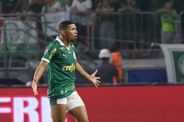 Sao Paulo (SP), Brezilya 08 / 21 / 2024 - Palmeiras oyuncusu Rony Palmeiras ve Botafogo arasında oynanan karşılaşmada golünü attı ve Copa Conmebol Libertadores 'in 16 raundunun ikinci ayağı için geçerli olan golünü kutladı