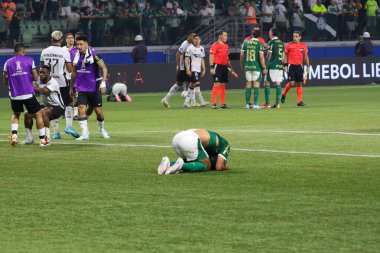 Sao Paulo (SP), Brezilya 08 / 21 / 2024 - Botafogo, Palmeiras ile Botafogo arasında oynanan ve Copa Conmebol Libertadores 'in 16 raundunun ikinci ayağı için geçerli olan karşılaşmayı kutluyor