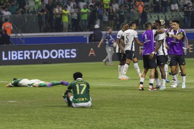 Sao Paulo (SP), Brezilya 08 / 21 / 2024 - Botafogo, Palmeiras ile Botafogo arasında oynanan ve Copa Conmebol Libertadores 'in 16 raundunun ikinci ayağı için geçerli olan karşılaşmayı kutluyor