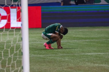 Sao Paulo (SP), Brezilya 08 / 21 / 2024 - Botafogo, Palmeiras ile Botafogo arasında oynanan ve Copa Conmebol Libertadores 'in 16 raundunun ikinci ayağı için geçerli olan karşılaşmayı kutluyor