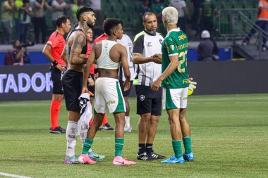 Sao Paulo (SP), Brezilya 08 / 21 / 2024 - Botafogo, Palmeiras ile Botafogo arasında oynanan ve Copa Conmebol Libertadores 'in 16 raundunun ikinci ayağı için geçerli olan karşılaşmayı kutluyor