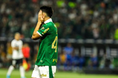 Sao Paulo (SP), Brezilya 08 / 21 / 2024 - Copa Conmebol Libertadores 'in 16 raundunun ikinci ayağı için geçerli olan Palmeiras ve Botafogo arasındaki maçta Flaco Lopez golünü kutluyor