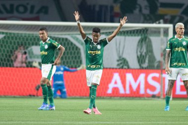 Sao Paulo (SP), Brezilya 08 / 21 / 2024 - Palmeiras ve Botafogo arasında oynanan karşılaşmada, Conmebol Libertadores Kupası 'nın 16.