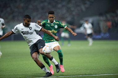 Sao Paulo (SP), Brezilya 08 / 21 / 2024 - 21 Ağustos 2024 Çarşamba akşamı Allianz Parque 'da oynanan ve Conmebol Libertadores Kupası' nın 16 raundunun ikinci ayağı için geçerli olan Palmeiras ve Botafogo arasındaki maç
