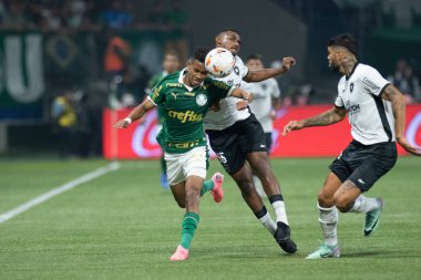 Sao Paulo (SP), Brezilya 08 / 21 / 2024 - Palmeiras ve Botafogo arasındaki maç, Conmebol Libertadores Kupası 16 raundunun ikinci ayağı için geçerli