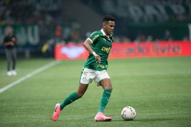 Sao Paulo (SP), Brezilya 08 / 21 / 2024 - Palmeiras ve Botafogo arasında oynanan karşılaşmada, Conmebol Libertadores Kupası 'nın 16.