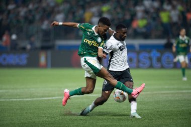 Sao Paulo (SP), Brezilya 08 / 21 / 2024 - 21 Ağustos 2024 Çarşamba akşamı Allianz Parque 'da oynanan ve Conmebol Libertadores Kupası' nın 16 raundunun ikinci ayağı için geçerli olan Palmeiras ve Botafogo arasındaki maç