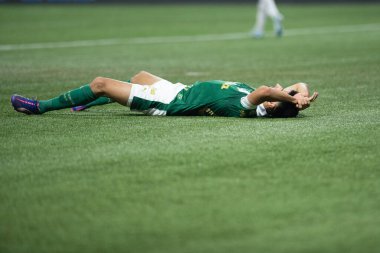 Sao Paulo (SP), Brezilya 08 / 21 / 2024 - 21 Ağustos 2024 Çarşamba akşamı Allianz Parque 'da oynanan ve Conmebol Libertadores Kupası' nın 16 raundunun ikinci ayağı için geçerli olan Palmeiras ve Botafogo arasındaki maç