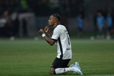 Sao Paulo (SP), Brezilya 08 / 21 / 2024 - Tche Tche, Palmeiras ve Botafogo arasındaki maçtan sonra Copa Conmebol Libertadores 'in 16 raundunun ikinci ayağı için geçerli olan elemeleri kutluyor