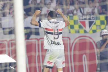 Sao Paulo (SP), Brezilya 08 / 22 / 2024 - Sao Paulo 'lu Calleri, Sao Paulo ile Nacional arasında oynanan ve Conmebol Libertadores Kupası' nın 16 'ncı turu için geçerli olan maçta golünü kutluyor