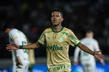Campinas (SP), Brezilya 08 / 24 / 2024 - Estevao, Brezilya Futbol Şampiyonası 'nın 24. turu için geçerli olan Palmeiras ve Cuiaba arasındaki maçtaki golünü kutluyor