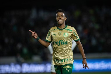 Campinas (SP), Brezilya 08 / 24 / 2024 - Estevao, Brezilya Futbol Şampiyonası 'nın 24. turu için geçerli olan Palmeiras ve Cuiaba arasındaki maçtaki golünü kutluyor