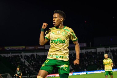 Campinas (SP), Brezilya 08 / 24 / 2024 - Estevao, Brezilya Futbol Şampiyonası 'nın 24. turu için geçerli olan Palmeiras ve Cuiaba arasındaki maçtaki golünü kutluyor