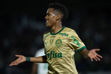 Campinas (SP), Brezilya 08 / 24 / 2024 - Estevao, Brezilya Futbol Şampiyonası 'nın 24. turu için geçerli olan Palmeiras ve Cuiaba arasındaki maçtaki golünü kutluyor