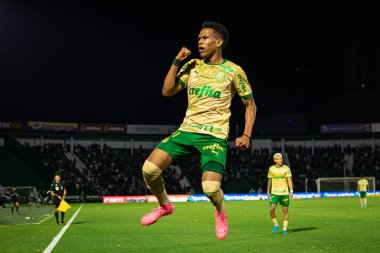 Campinas (SP), Brezilya 08 / 24 / 2024 - Estevao, Brezilya Futbol Şampiyonası 'nın 24. turu için geçerli olan Palmeiras ve Cuiaba arasındaki maçtaki golünü kutluyor