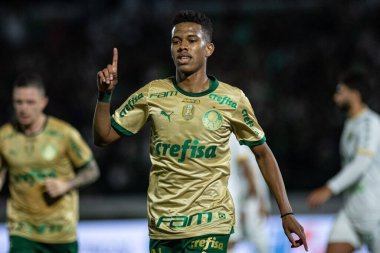 Campinas (SP), Brazil 08/24/2024 - Estevao celebrates his goal in the match between Palmeiras and Cuiaba, valid for the 24th round of the Brazilian Football Championship clipart