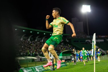 Campinas (SP), Brezilya 08 / 24 / 2024 - Estevao, Brezilya Futbol Şampiyonası 'nın 24. turu için geçerli olan Palmeiras ve Cuiaba arasındaki maçtaki golünü kutluyor