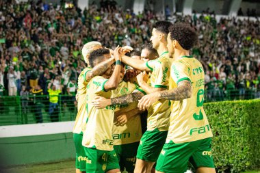 Campinas (SP), Brezilya 08 / 24 / 2024 - Estevao, Brezilya Futbol Şampiyonası 'nın 24. turu için geçerli olan Palmeiras ve Cuiaba arasındaki maçtaki golünü kutluyor