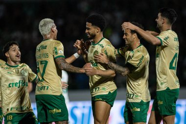 Campinas (SP), Brezilya 08 / 24 / 2024 - Murilo, Brezilya Futbol Şampiyonası 'nın 24. turu için geçerli olan Palmeiras ve Cuiaba arasındaki maçtaki golünü kutluyor