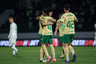 Campinas (SP), Brezilya 08 / 24 / 2024 - Murilo, Brezilya Futbol Şampiyonası 'nın 24. turu için geçerli olan Palmeiras ve Cuiaba arasındaki maçtaki golünü kutluyor