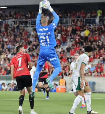 CURITIBA (PR), Brazil 09/01/2024 Goalkeeper Weverton, during the match between Athletico and Palmeiras, valid for the 25th round of the Brazilian Championship Series A, held at Ligga Arena  clipart