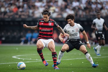 Sao Paulo (SP), Brezilya 09 / 01 / 2024 - Pedro, 2024 Brezilya Şampiyonası 'nın 25. turu için geçerli olan Corinthians ve Flamengo arasındaki maçtaki golünü kutluyor