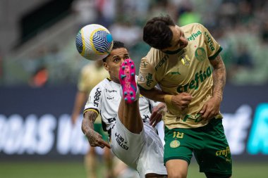 Sao Paulo (SP), Brezilya 09 / 15 / 2024 - Brezilya Futbol Şampiyonası 'nın 26' ncı turu için geçerli olan Palmeiras ile Criciuma arasındaki maç, 15 Eylül 2024 Pazar günü Allianz Parque 'da oynanacak.
